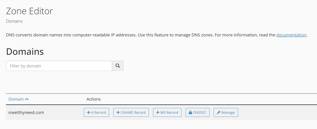 Add TXT record in DNS settings